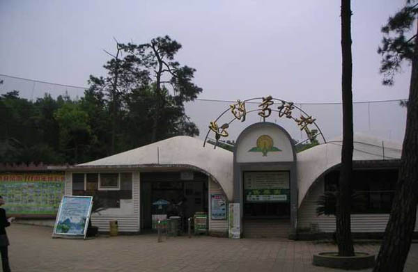 BZ