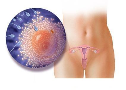 ���е�1��