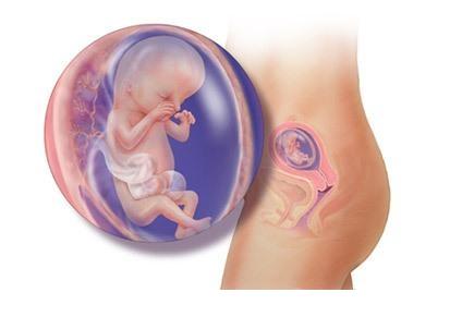 ���е�12��