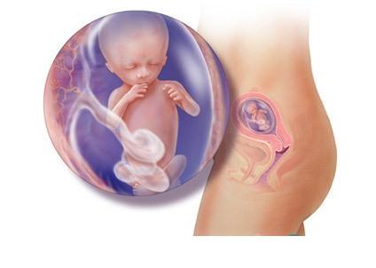 ���е�13��