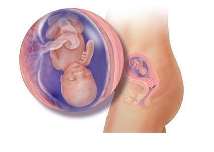 ���е�14��