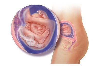 ���е�18��