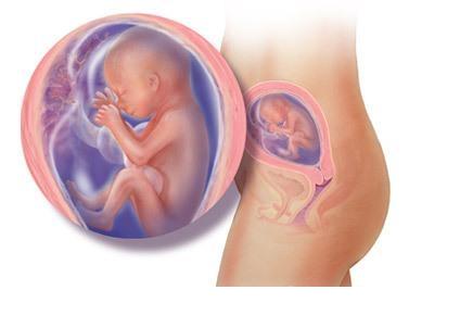 ���е�19��