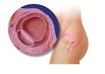 ���е�2��