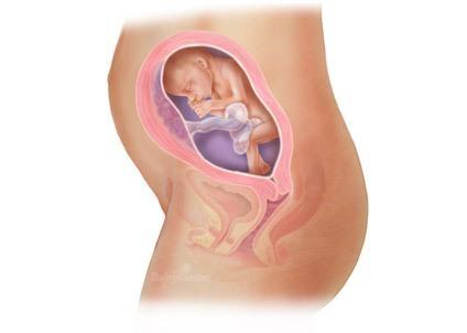 ���е�23��