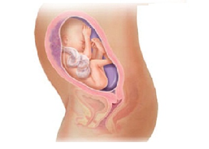 ���е�25��