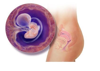 ���е�5��