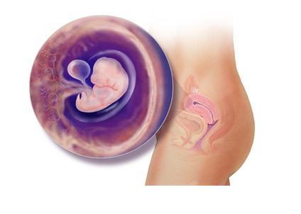 ���е�6��