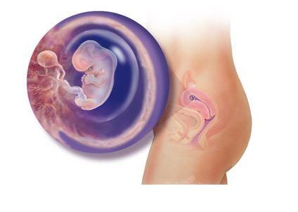 ���е�7��