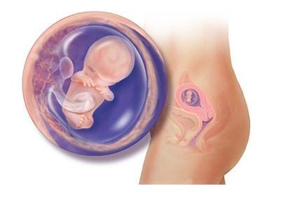 ���е�9��