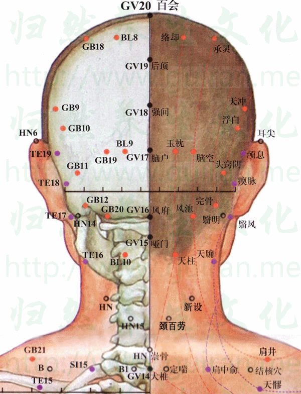 承靈穴 取穴圖 膽經(jīng) 穴位查詢