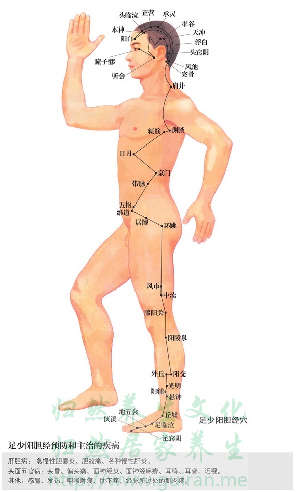 環(huán)跳穴 穴位圖 膽經(jīng) 穴位查詢