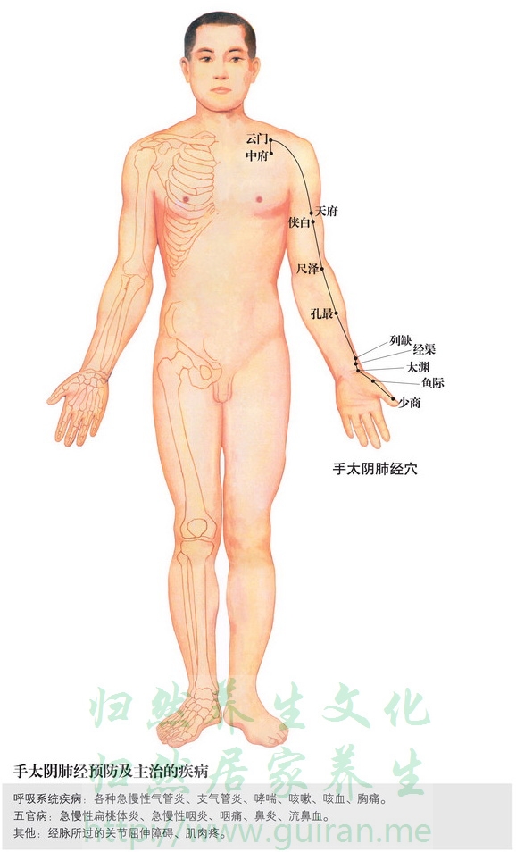 云門穴 穴位圖 肺經(jīng) 穴位查詢