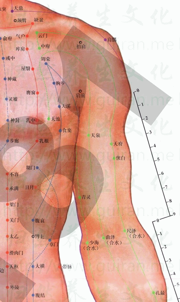 츮Ѩ ȡѨD ν(jng) Ѩλԃ