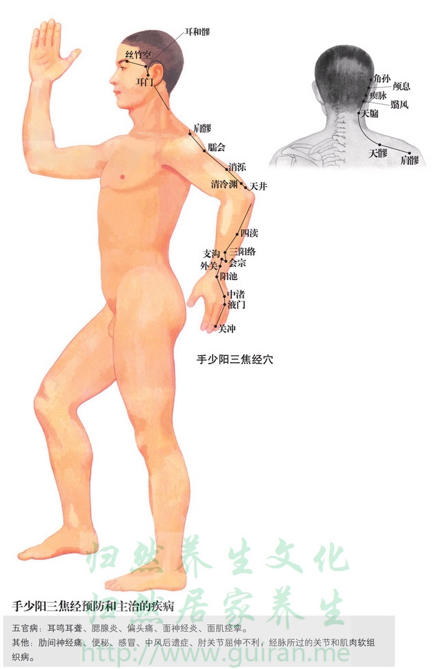 肩髎穴 穴位圖 三焦經(jīng) 穴位查詢