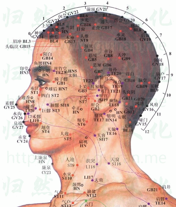 TѨ ȡѨD (jng) Ѩλԃ
