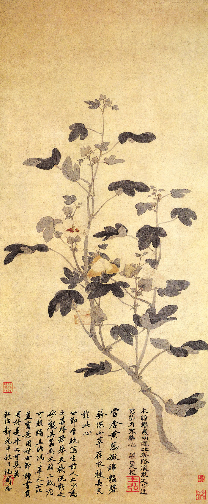 點擊圖片查看原圖 木棉圖 孫艾.shtml
