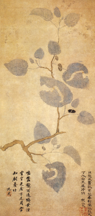 點(diǎn)擊圖片查看原圖 蠶桑圖 孫艾.shtml