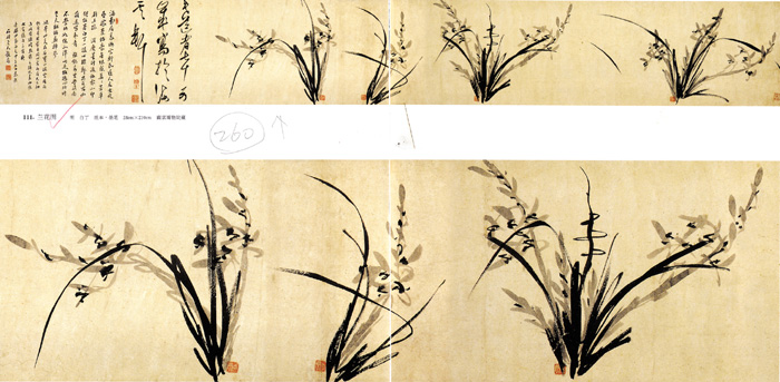 點(diǎn)擊圖片查看原圖 蘭花圖 白丁.shtml