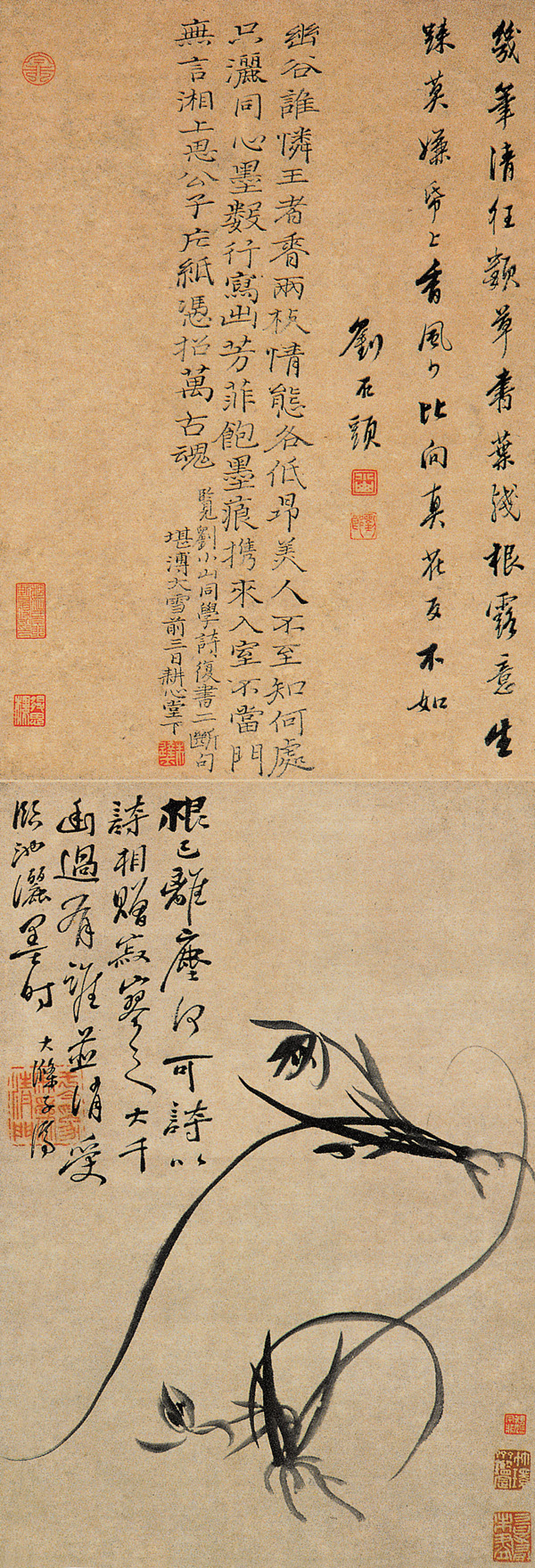 點擊圖片查看原圖 芳蘭圖 石濤.shtml